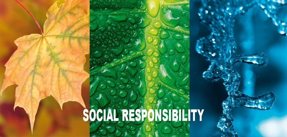 Social Responsibility